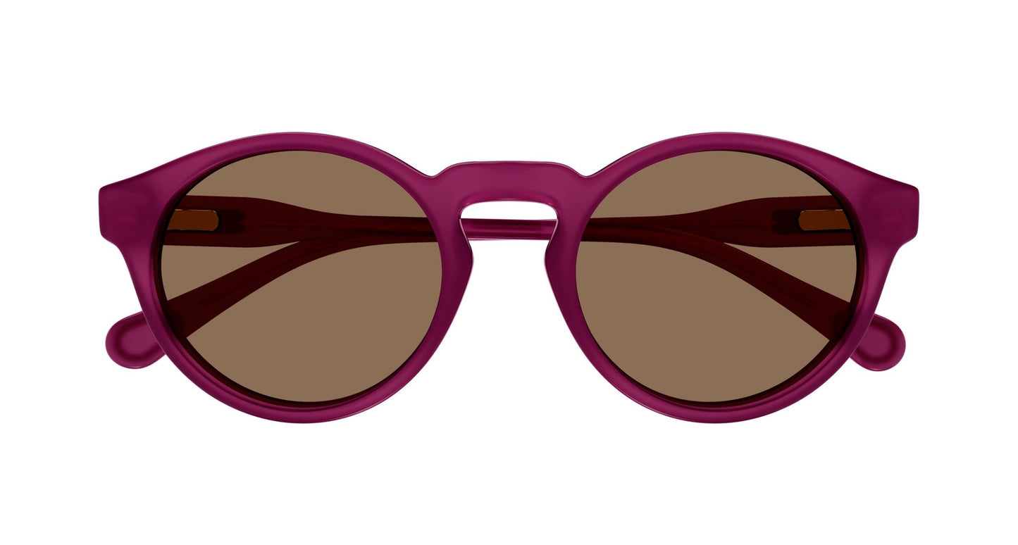 Chloé CC0014S 001 46