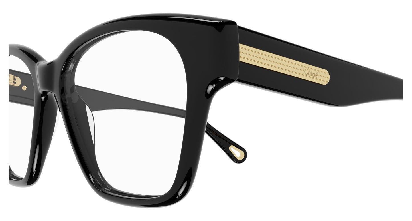 Chloé CH0122O 001 52