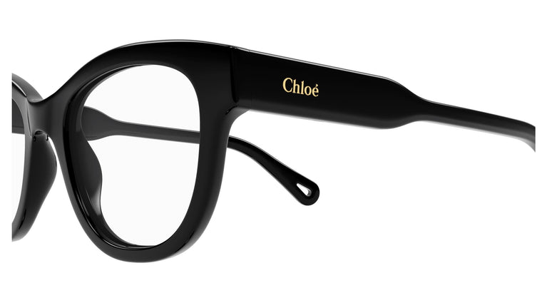 Chloé CH0162O 001 48