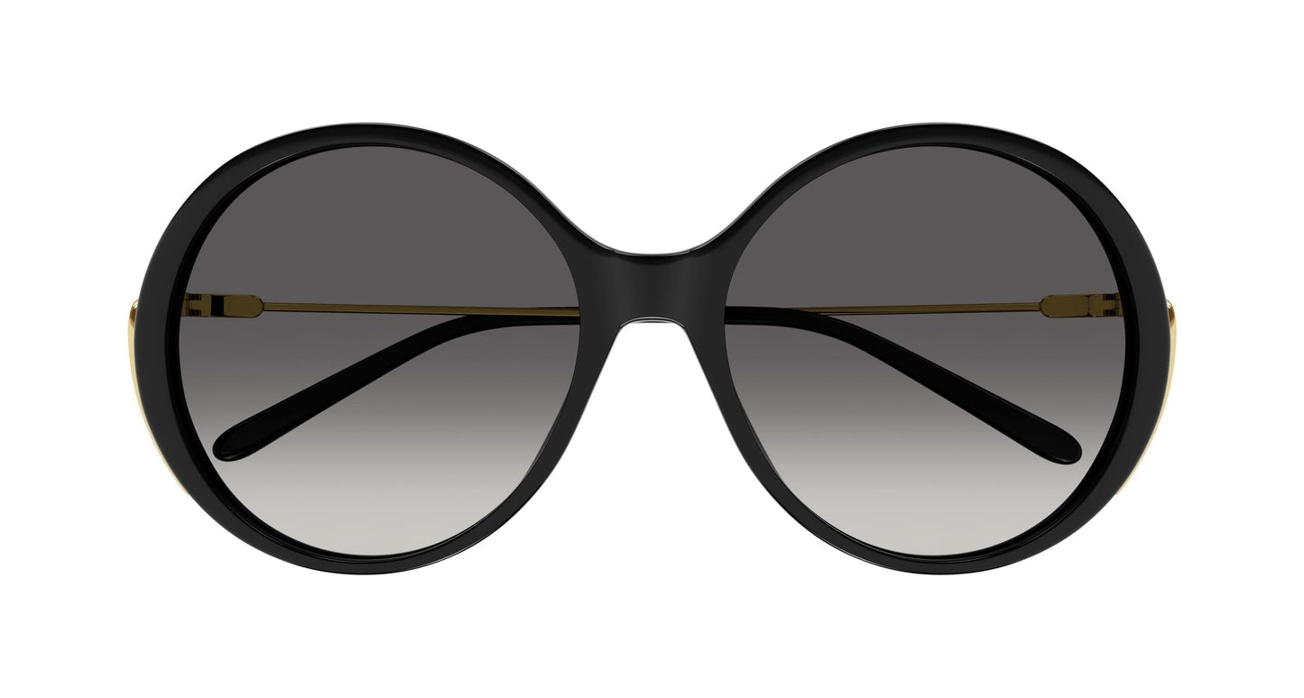 Chloé CH0171S 001 58