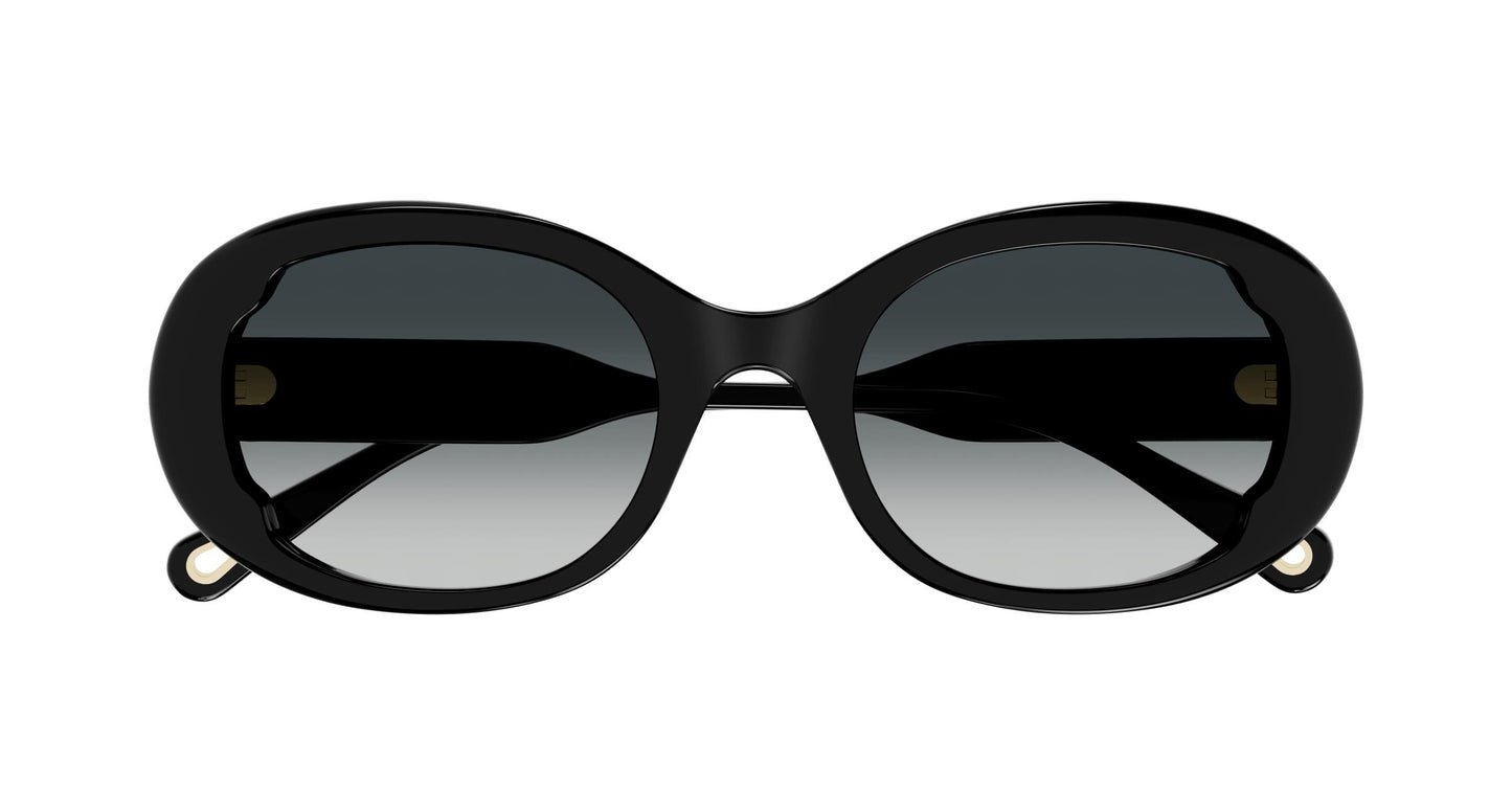 Chloé CH0197S 001 53