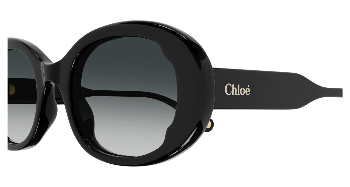 Chloé CH0197SA 001 54
