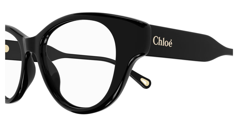 Chloé CH0199O 001 50