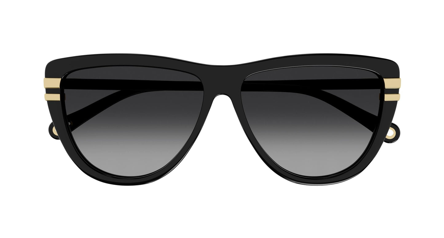 Chloé CH0203S 001 59