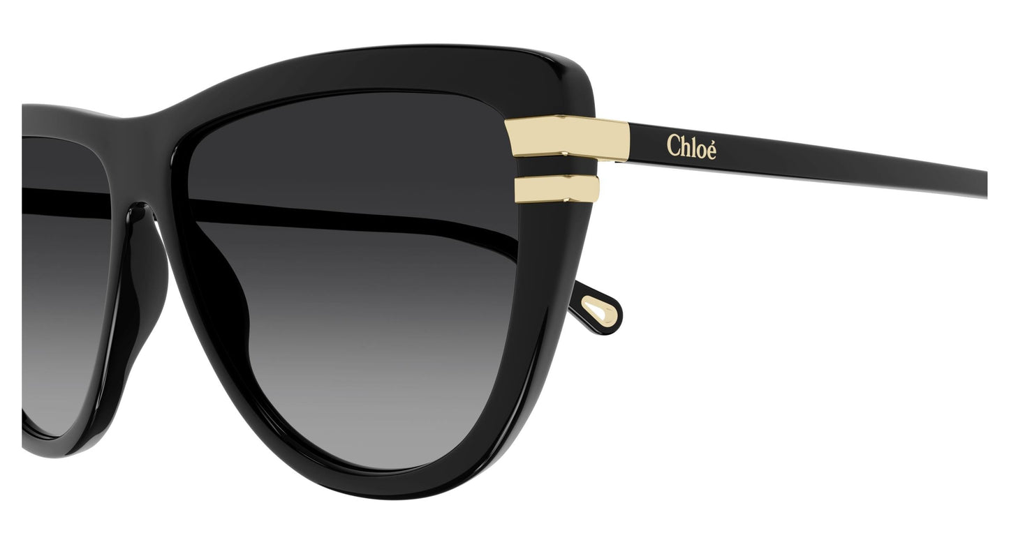 Chloé CH0203S 001 59