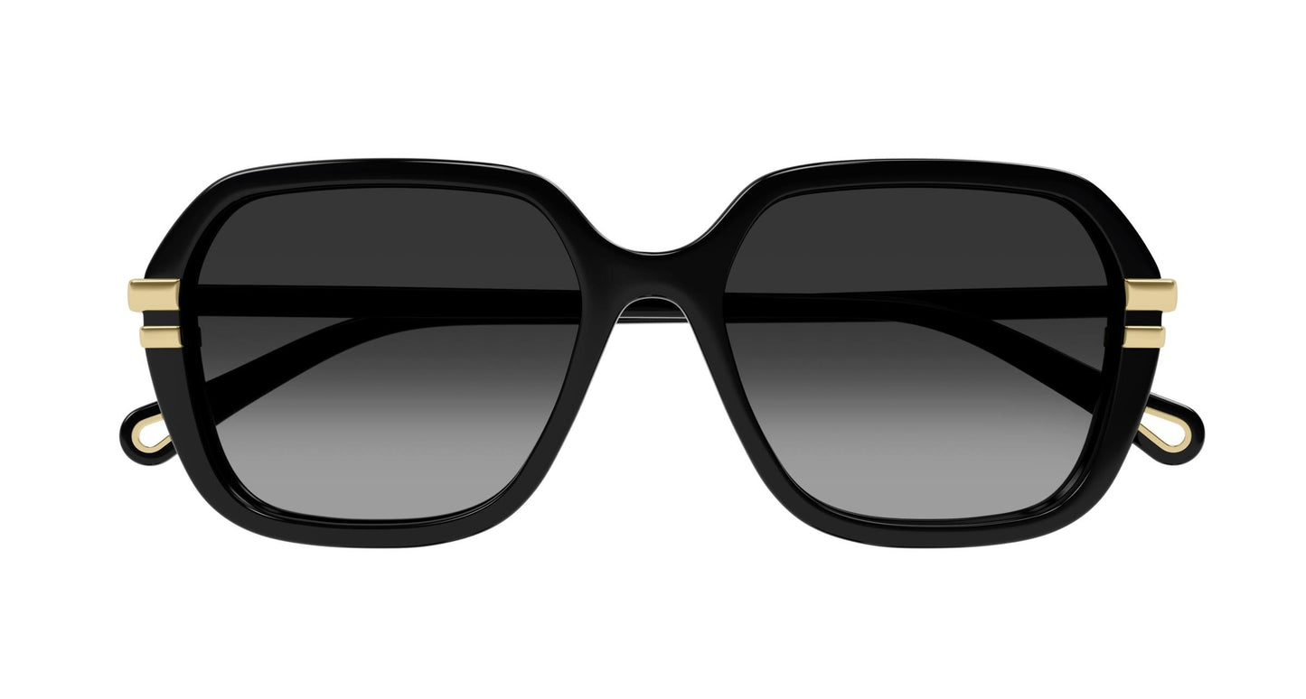 Chloé CH0204S 001 57