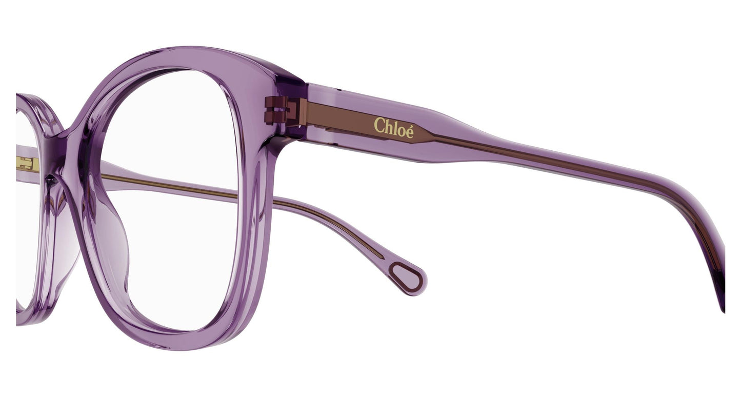 Chloé CC0013O 002 48