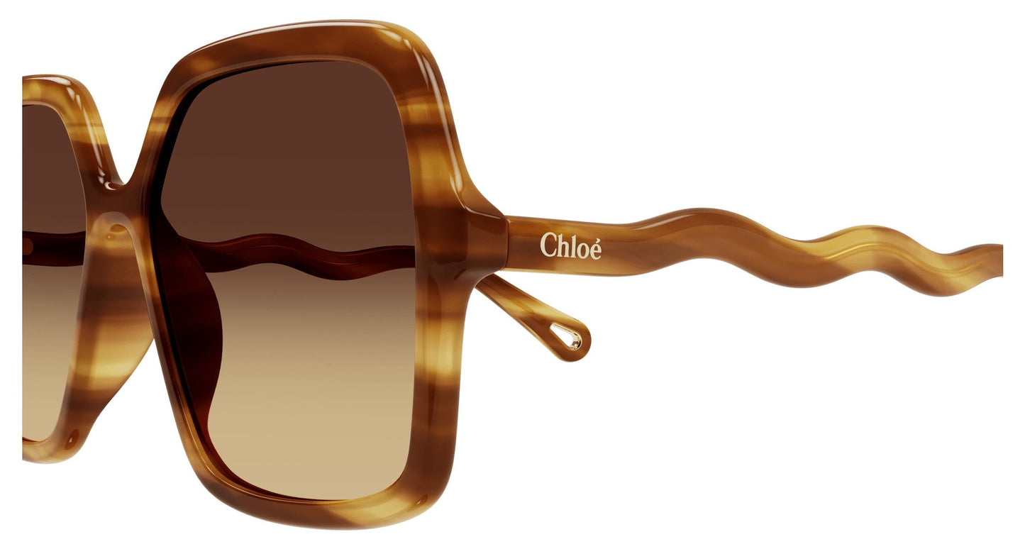 Chloé CH0086S 002 58