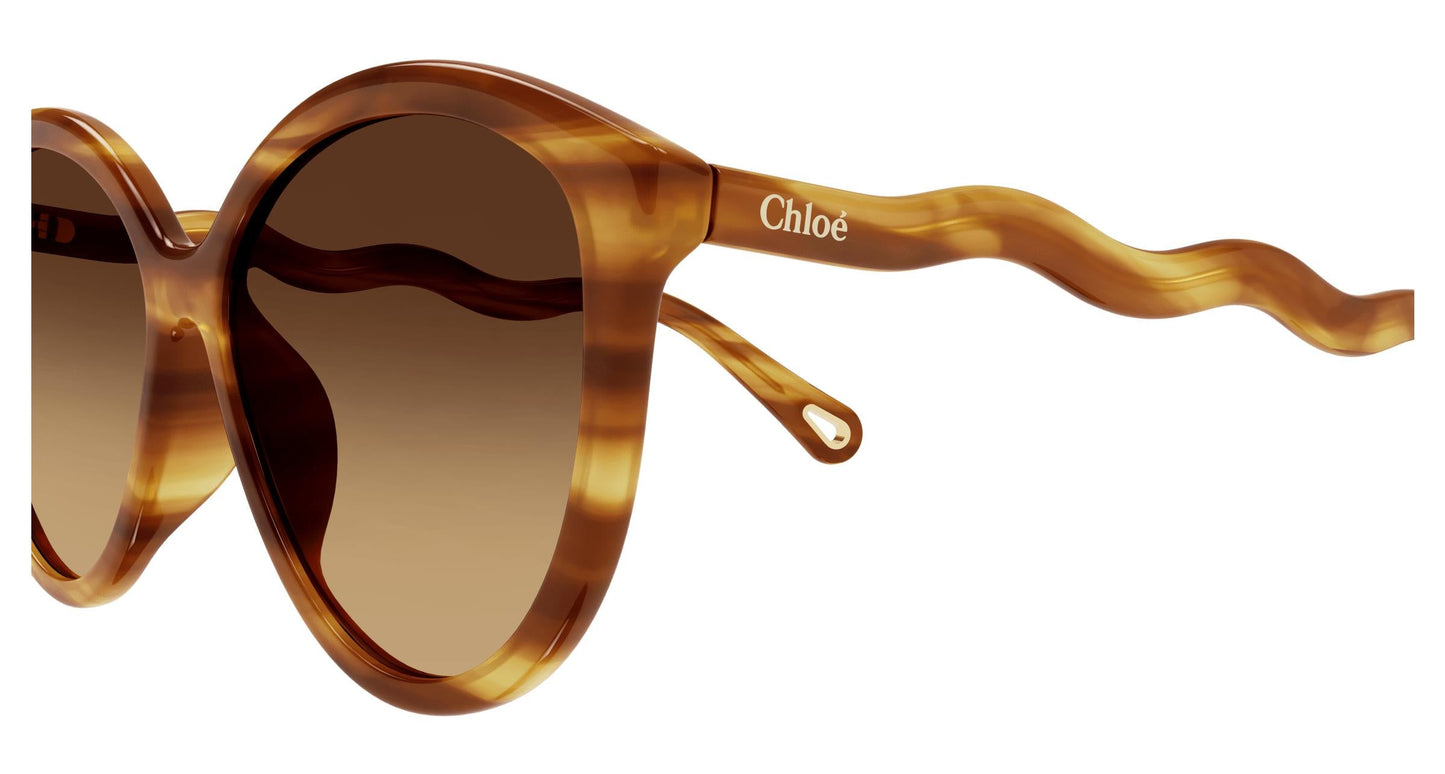 Chloé CH0087S 002 57
