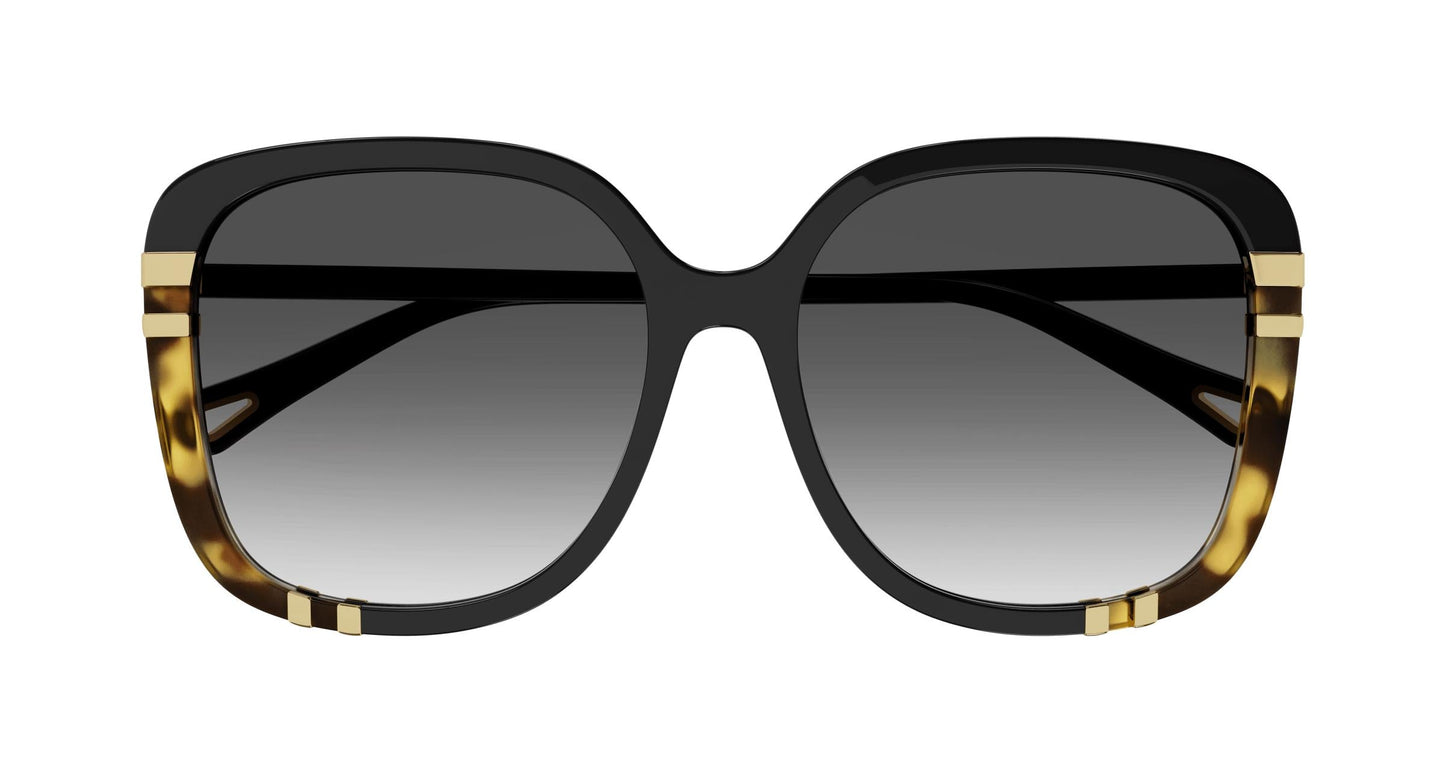 Chloé CH0106SA 002 59