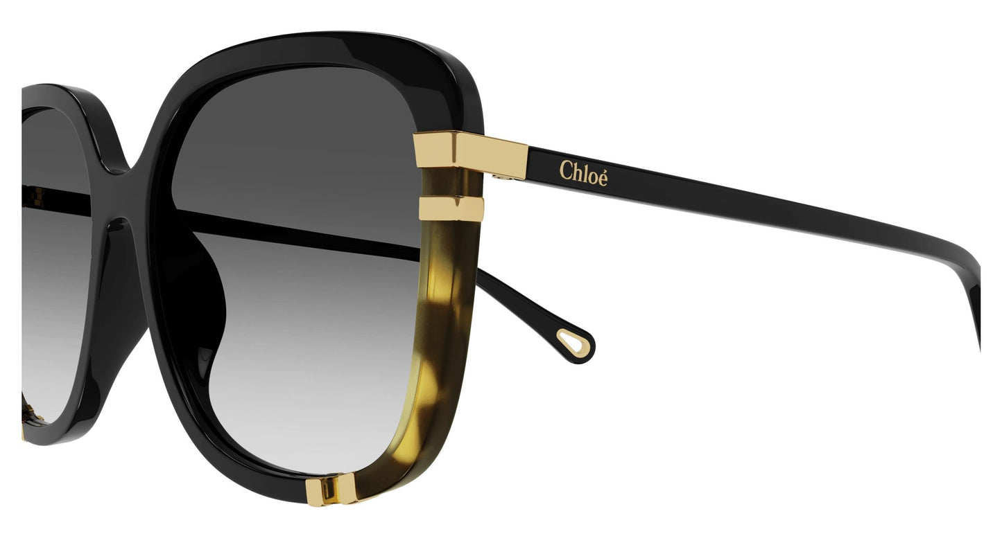 Chloé CH0106SA 002 59