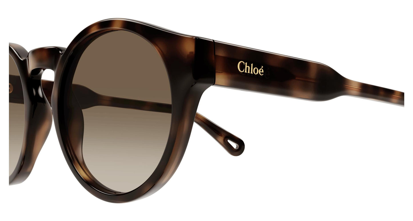 Chloé CH0158S 002 52