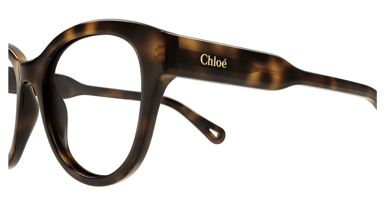 Chloé CH0163O 002 49