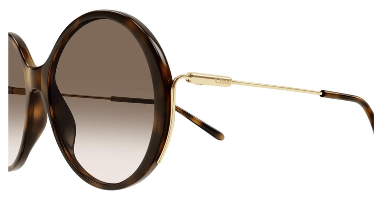 Chloé CH0171S 002 58