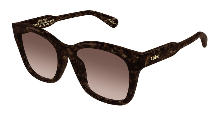 Chloé CH0194SK 002 55