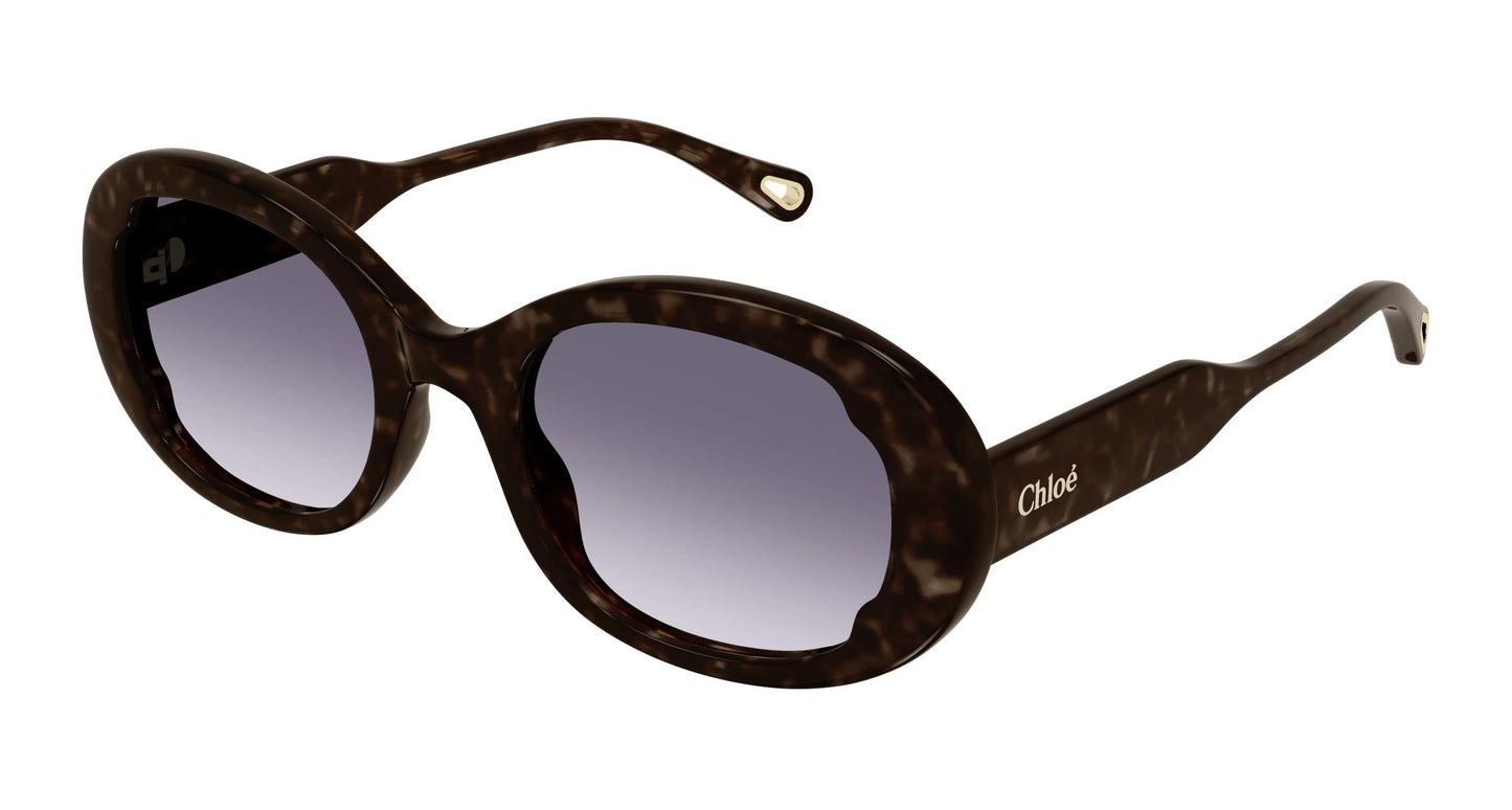 Chloé CH0197S 002 53