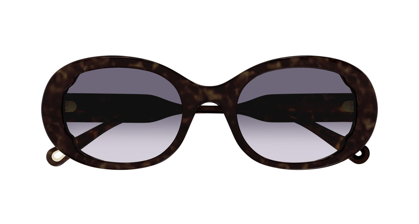 Chloé CH0197S 002 53