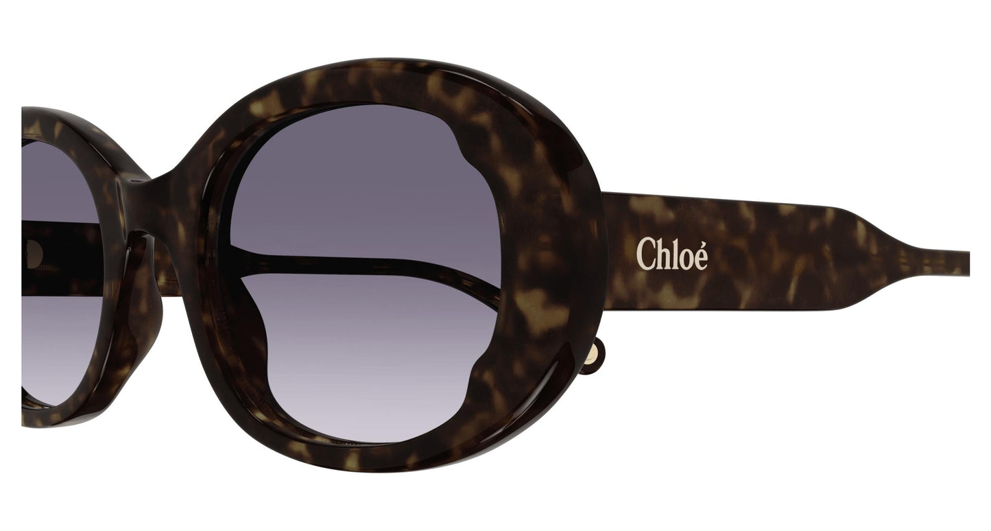 Chloé CH0197SA 002 54
