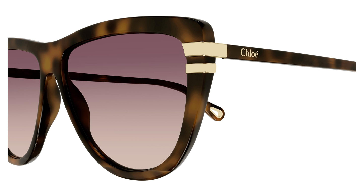 Chloé CH0203S 002 59