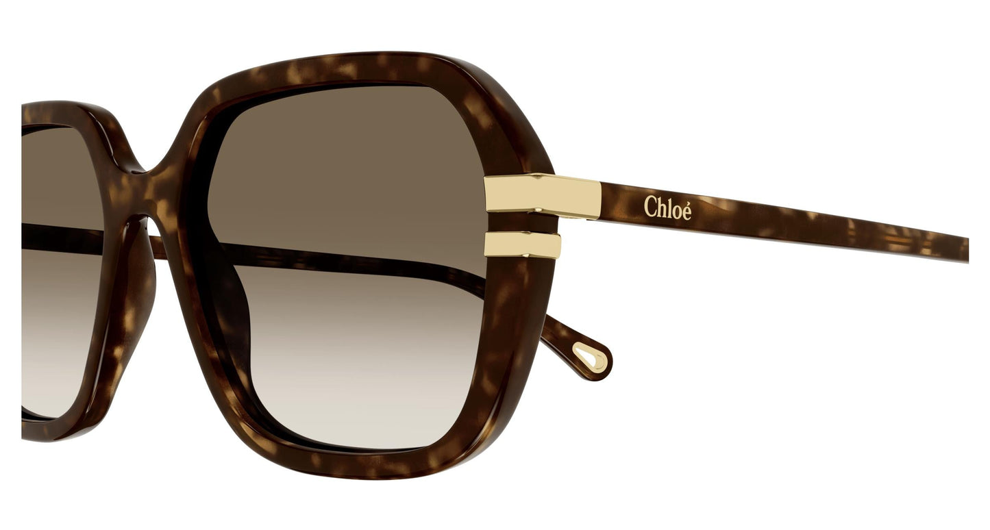 Chloé CH0204S 002 57