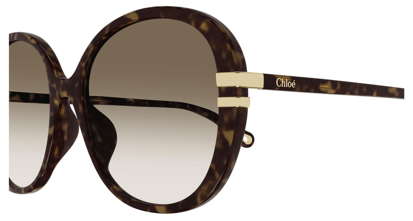 Chloé CH0207SK 002 58