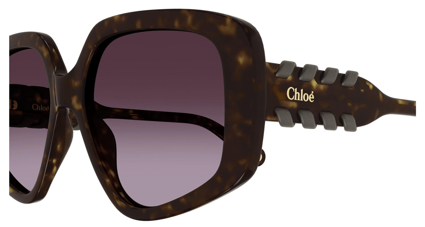 Chloé CH0210S 002 56