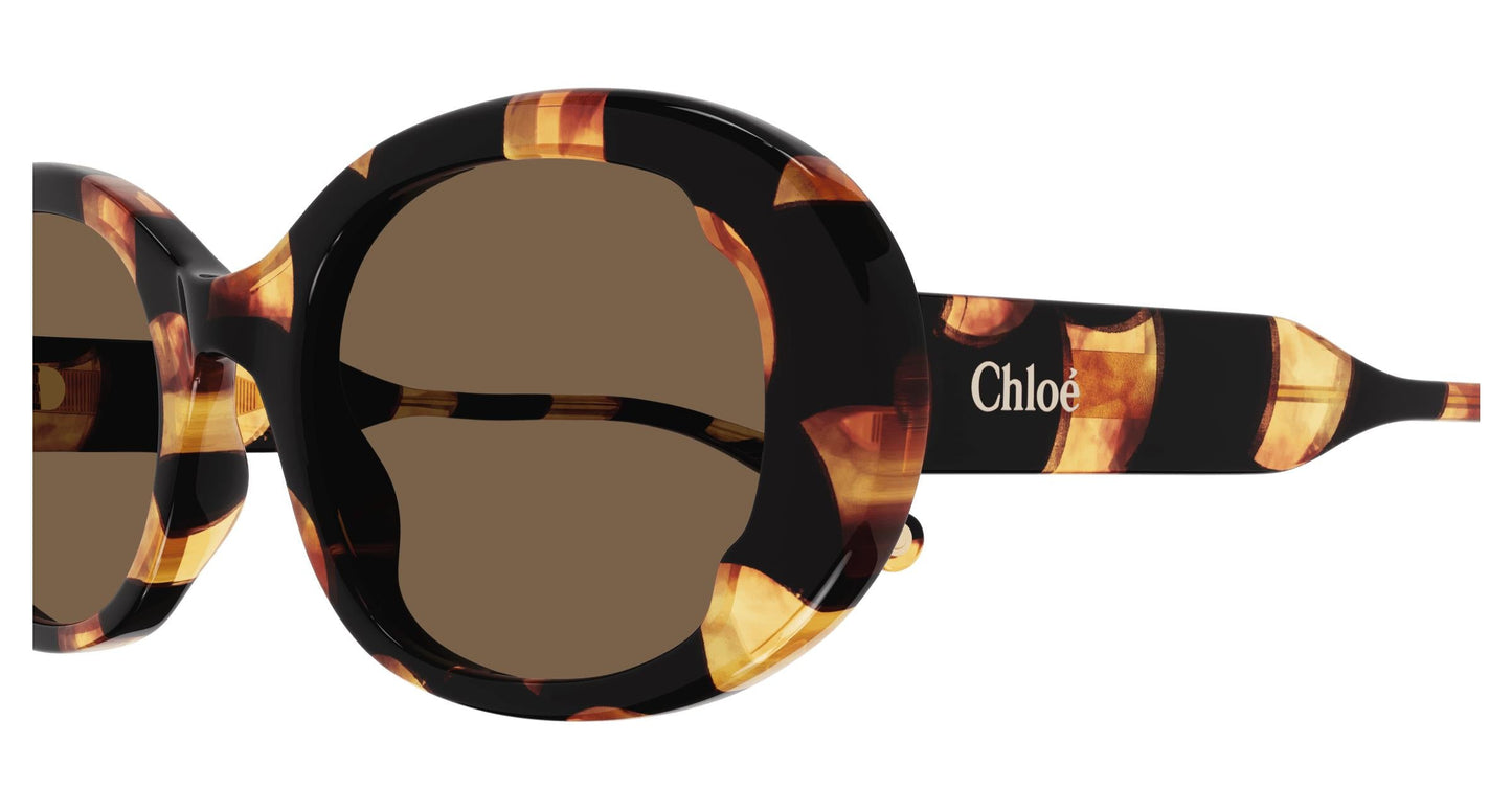 Chloé CH0197SA 003 54