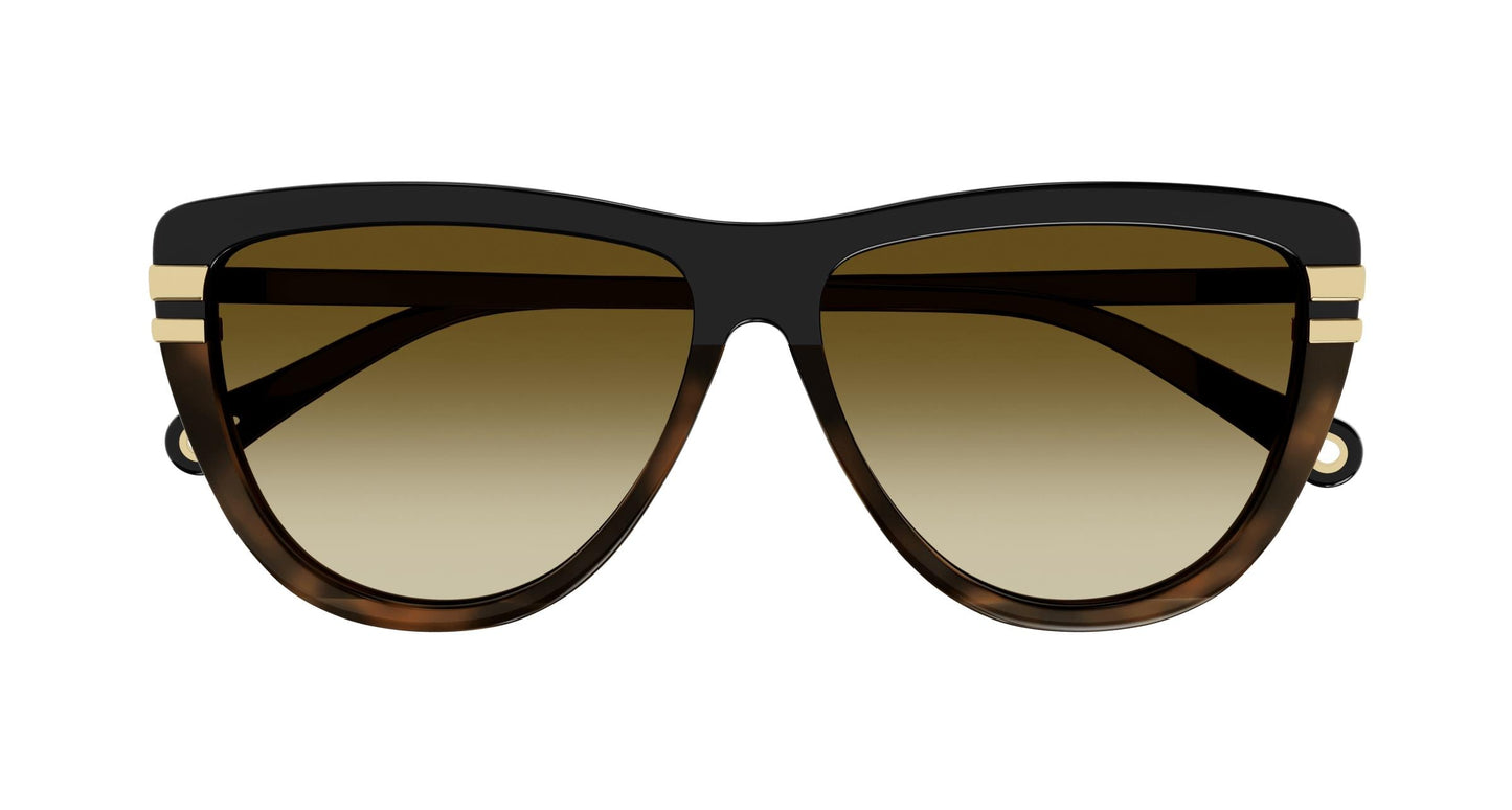 Chloé CH0203S 003 59