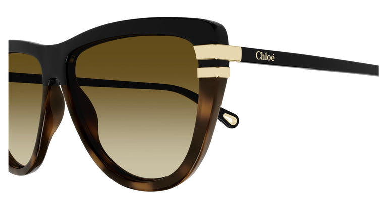 Chloé CH0203S 003 59