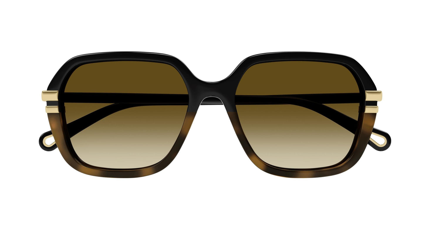 Chloé CH0204S 003 57