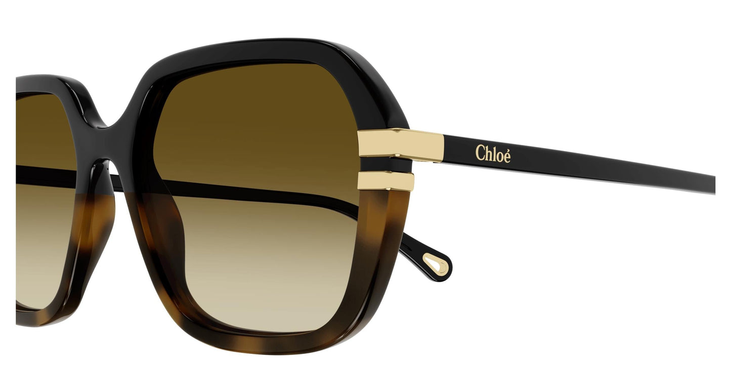 Chloé CH0204S 003 57
