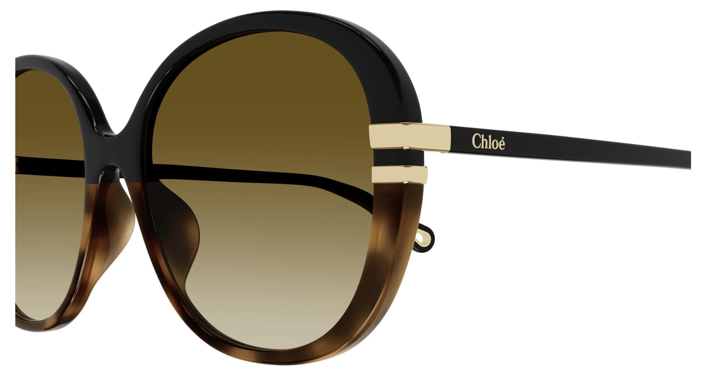 Chloé CH0207SK 003 58