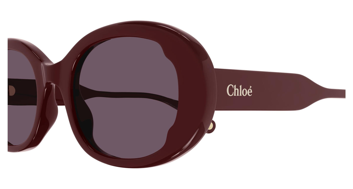 Chloé CH0197S 004 53