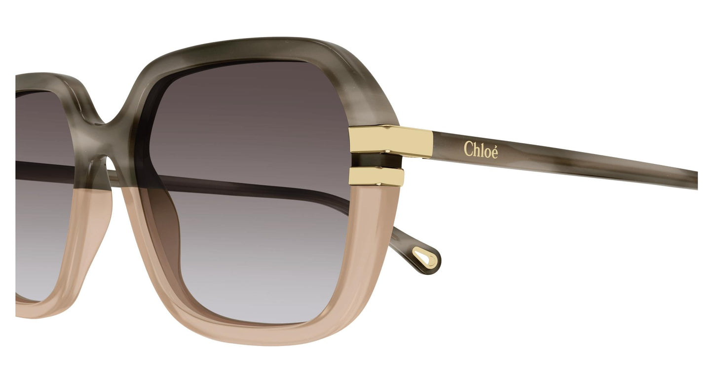 Chloé CH0204S 004 57