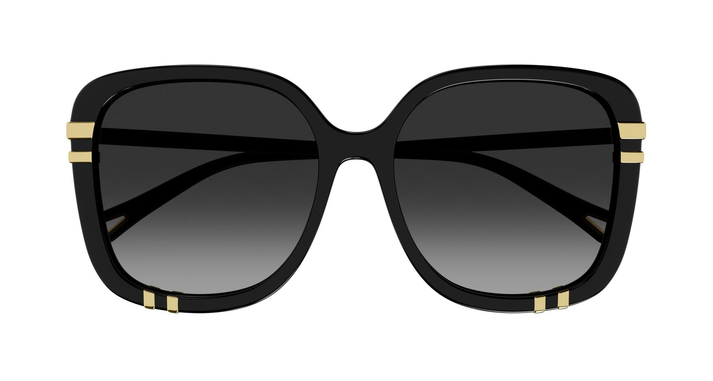 Chloé CH0106SA 005 59