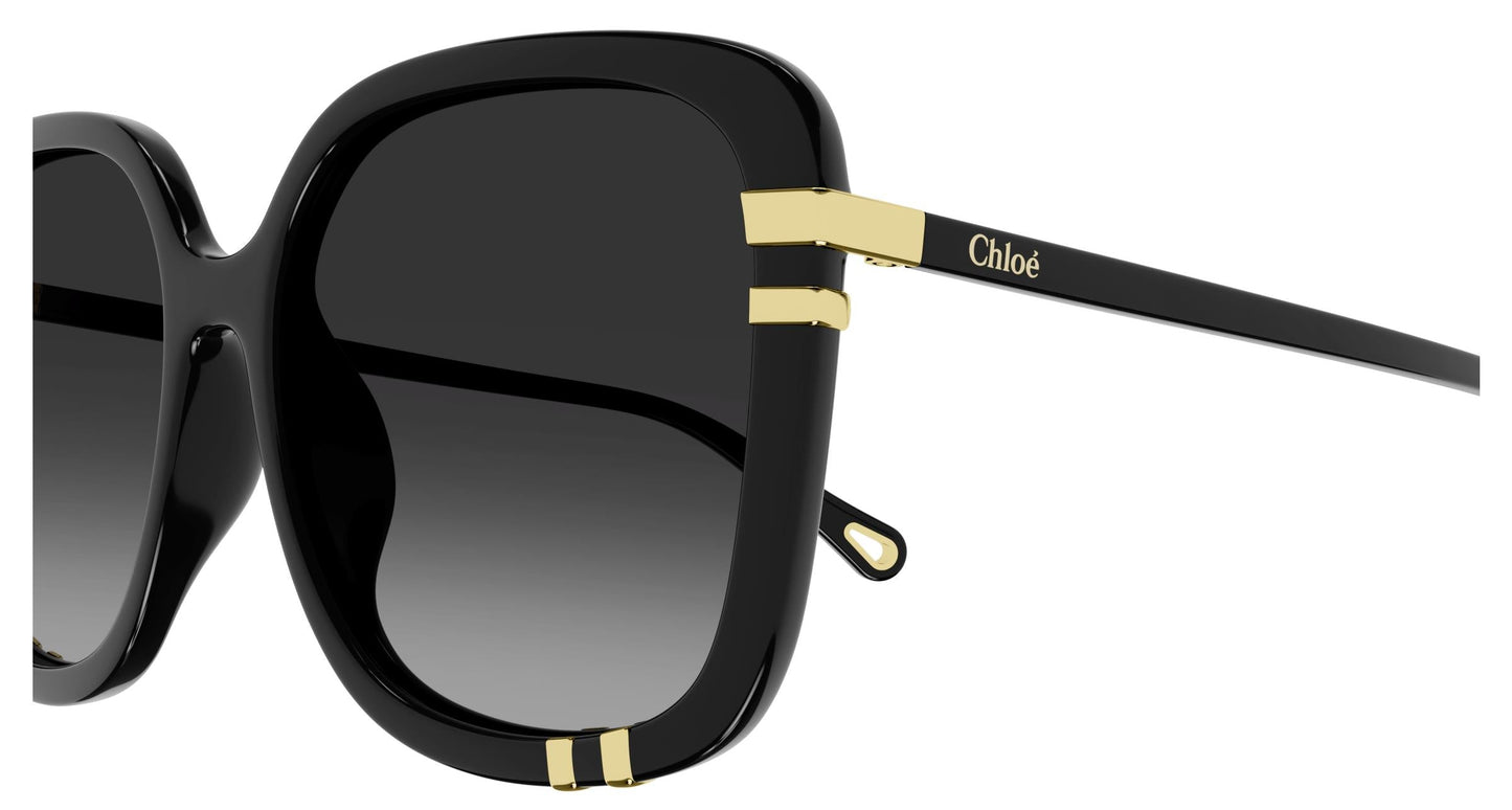 Chloé CH0106SA 005 59