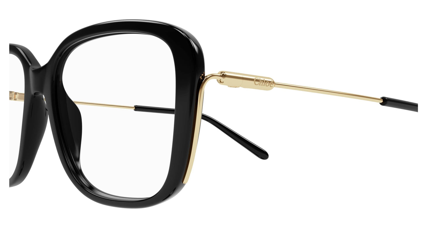 Chloé CH0174O 005 54