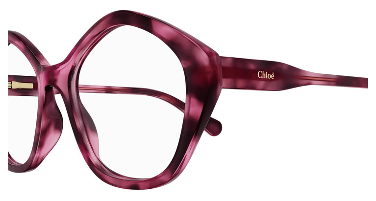 Chloé CC0011O 006 49