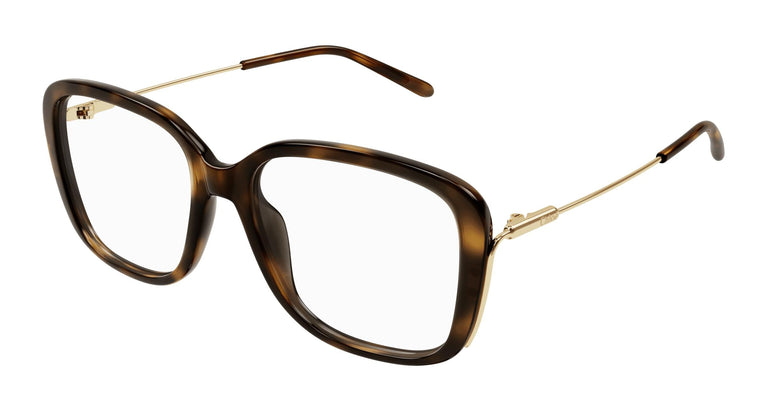Chloé CH0174O 006 54