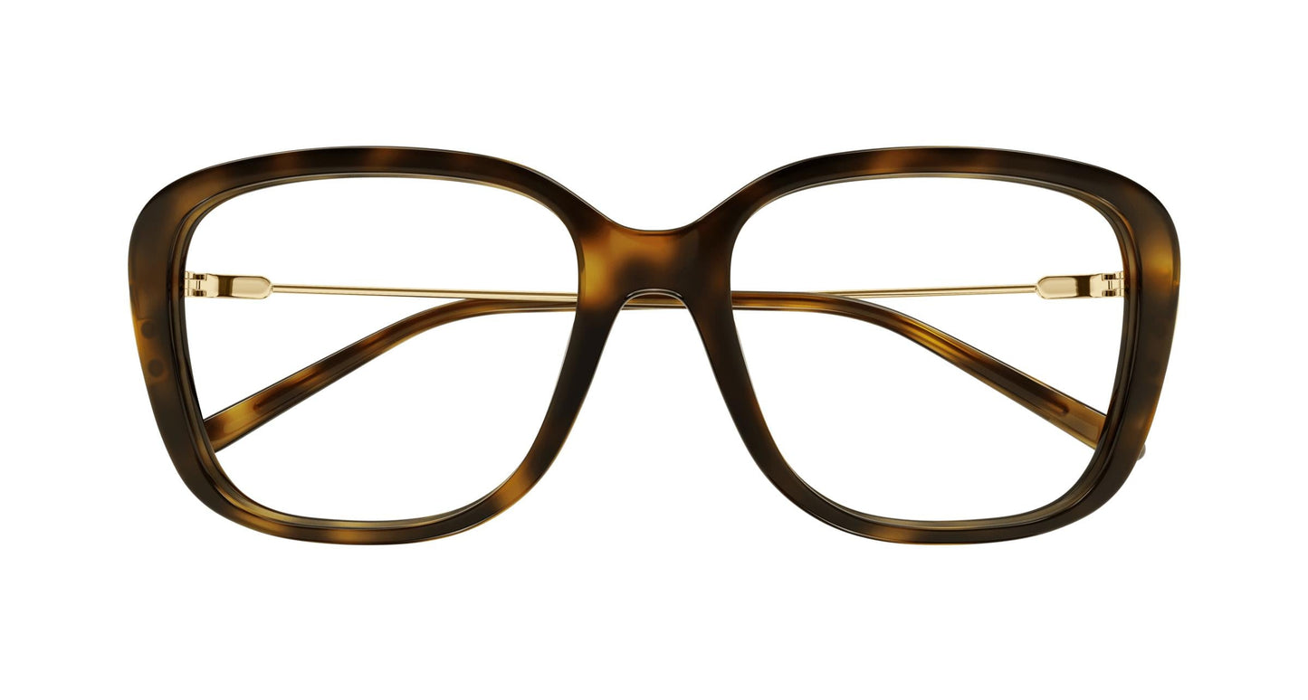 Chloé CH0174O 006 54