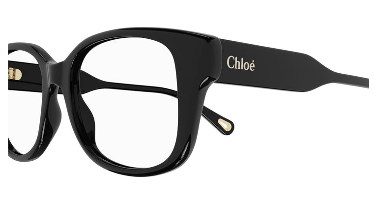 Chloé CH0198O 006 53