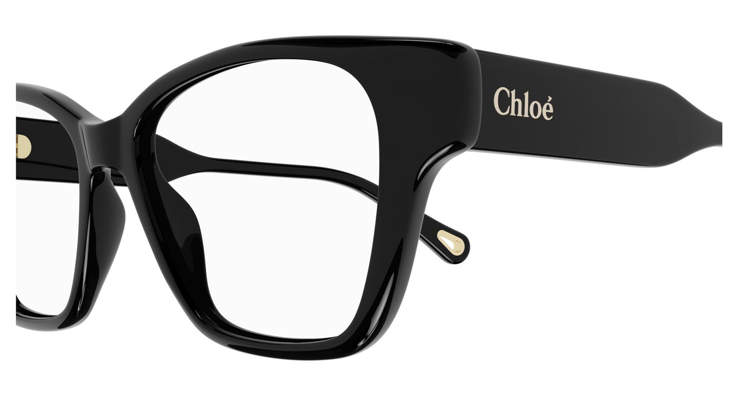 Chloé CH0200O 006 53