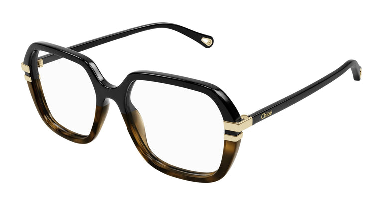 Chloé CH0205O 007 55