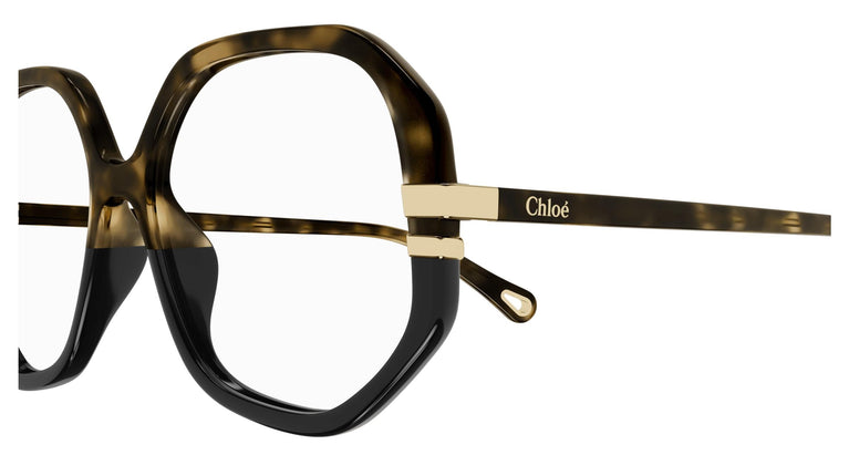 Chloé CH0107O 011 54