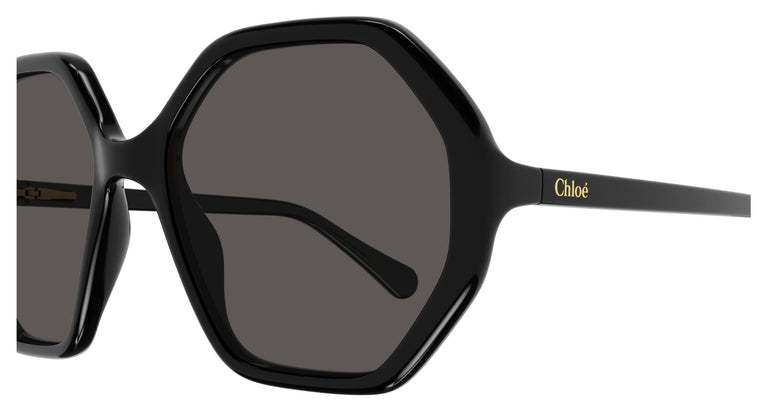 Chloé CC0004S 007 51