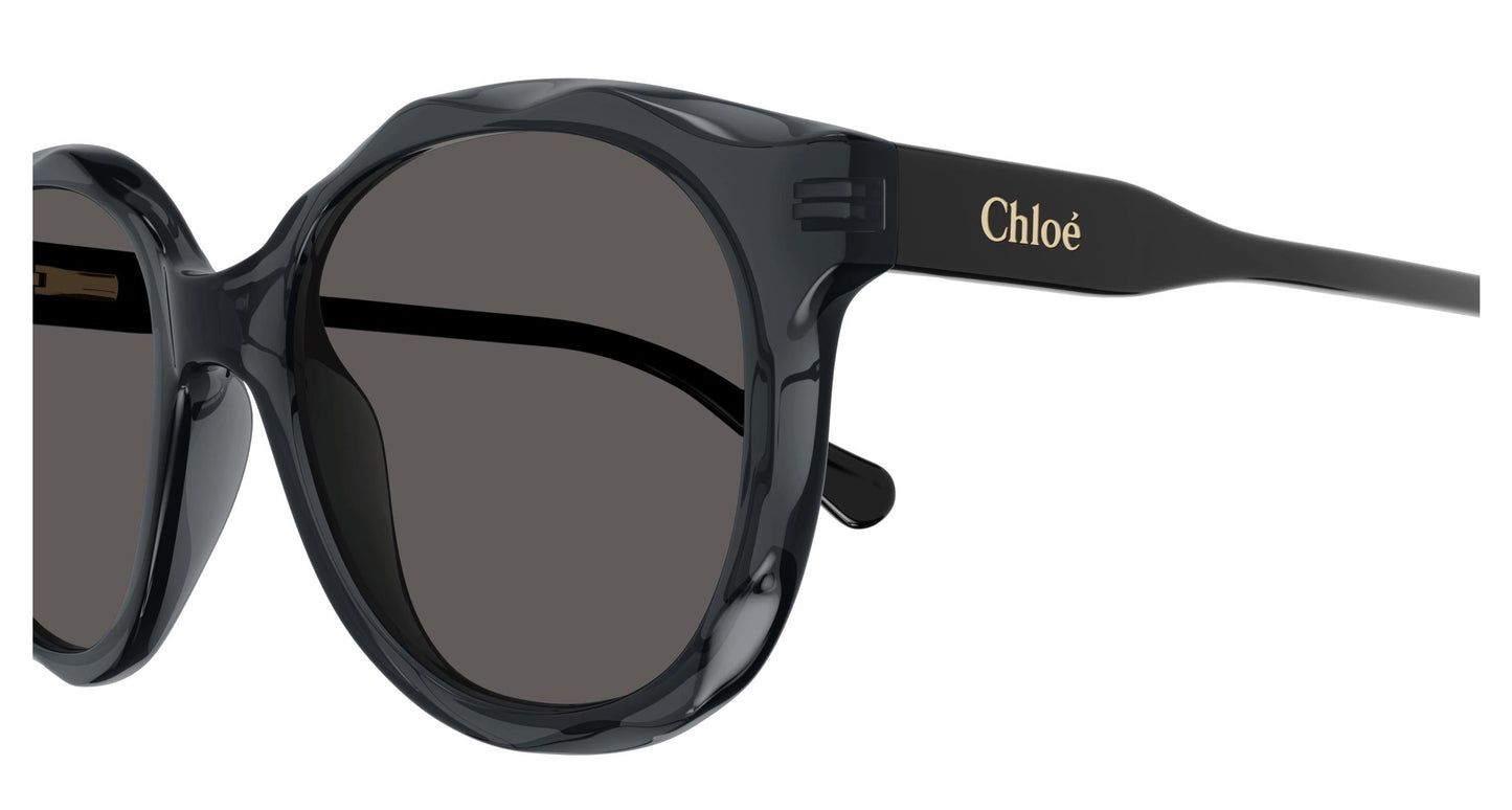 Chloé CC0019S 001 47