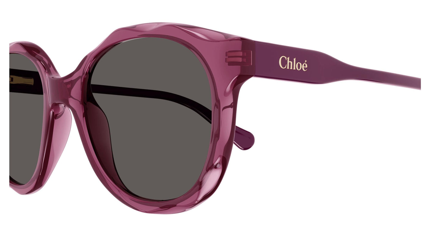 Chloé CC0019S 003 47