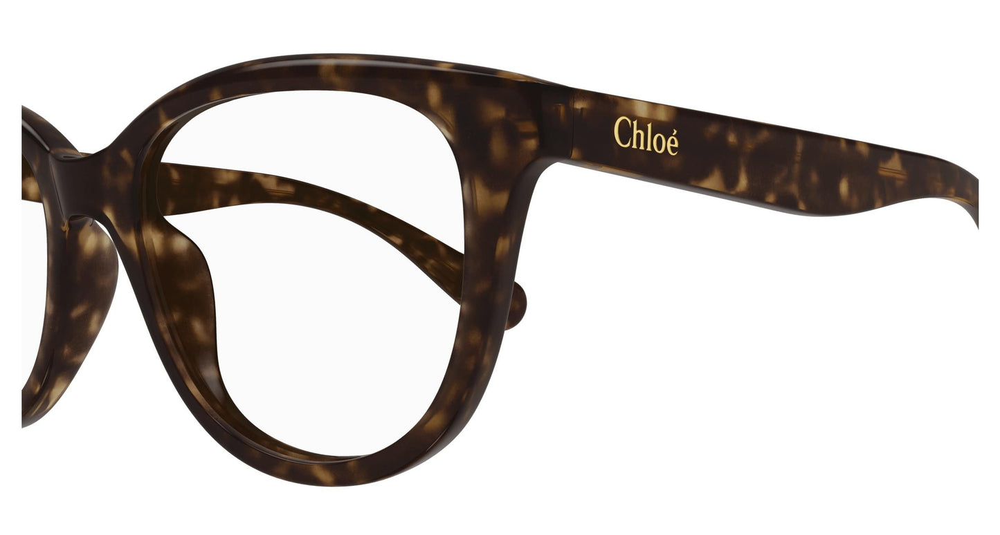 Chloé CC0021O 002 47