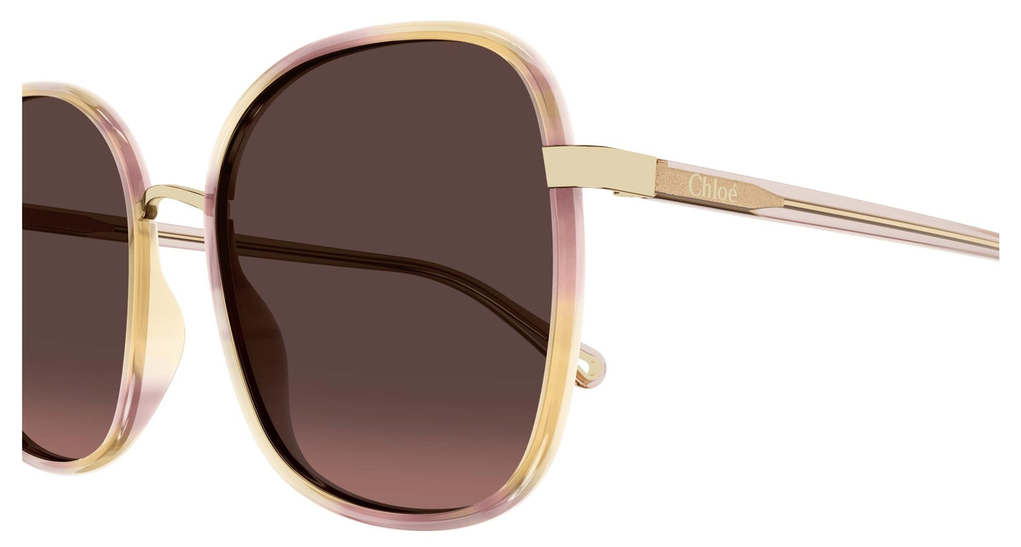 Chloé CH0031S 014 59