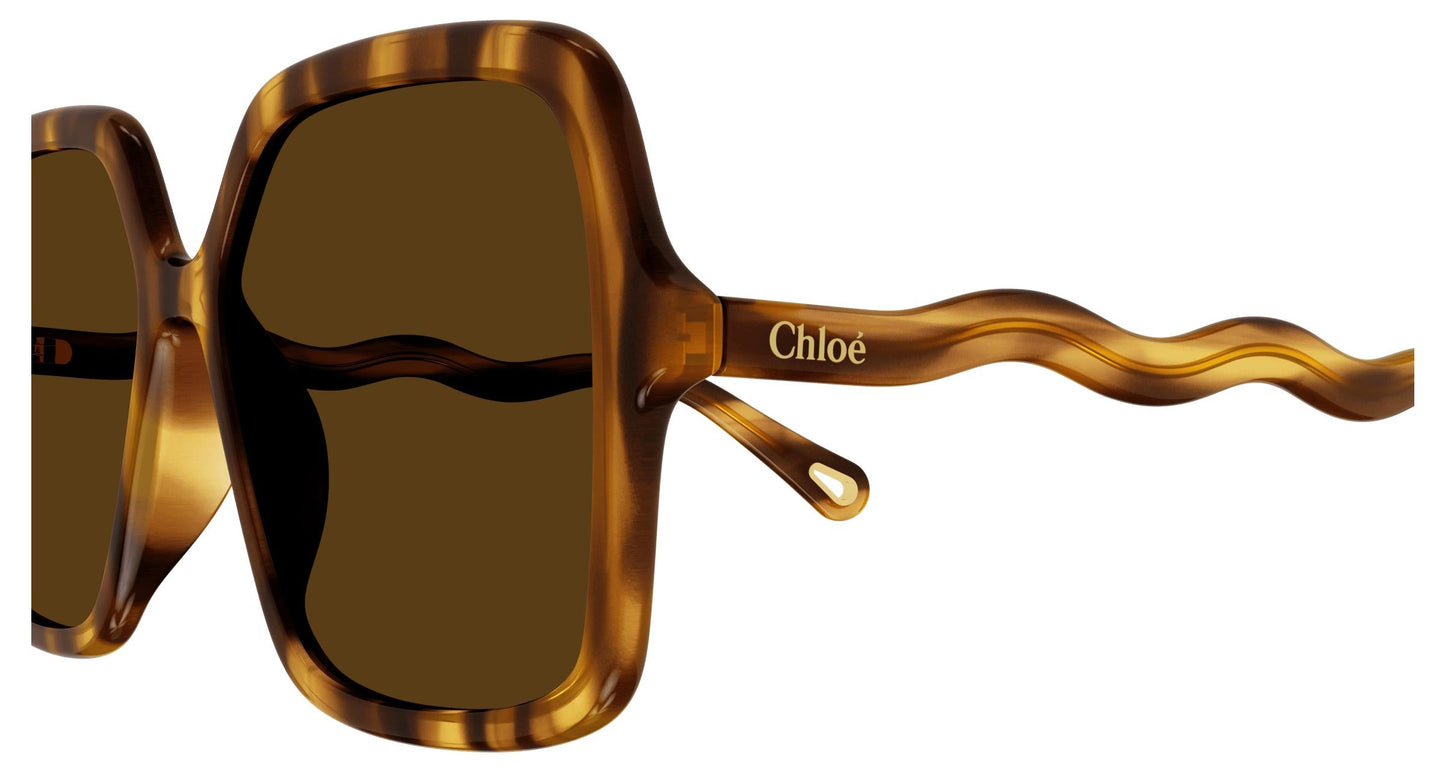 Chloé CH0086S 005 58